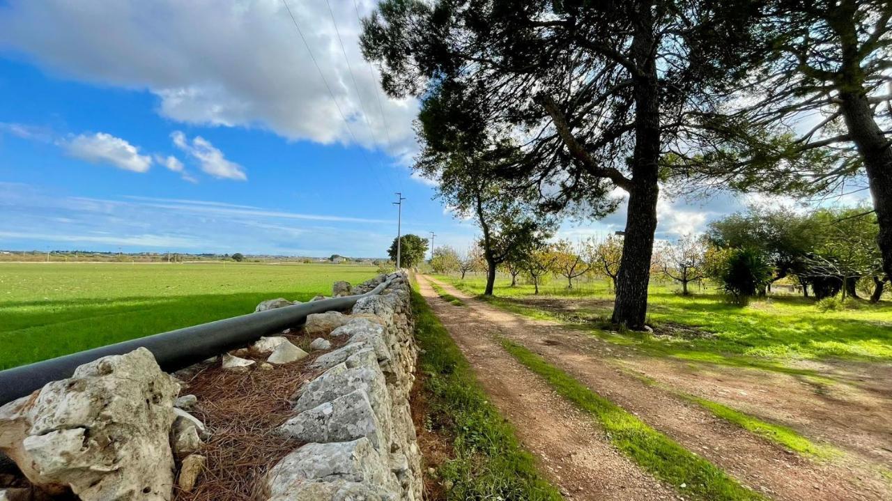Masseria Elefante Turi Eksteriør billede